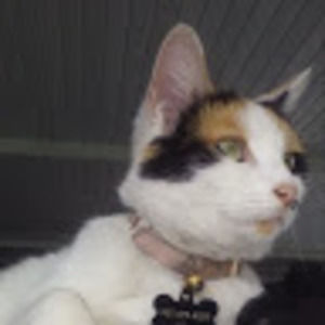 Meet your Posher, Barb